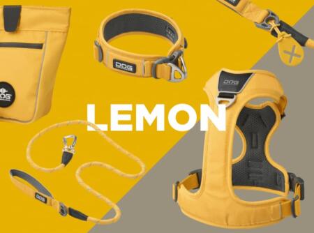 Dog Copenhagen Lemon