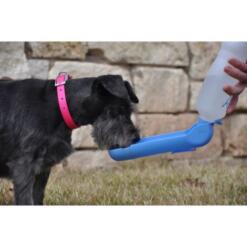 Pawise Travel Bottle 13 Pawise Travel Bottle