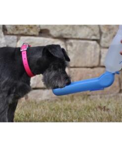 Pawise Travel Bottle