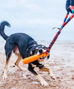 BOB: De 3-in-1 Honden Dummy
