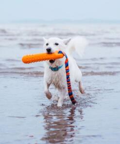 BOB: De 3-in-1 Honden Dummy 13 BOB: De 3-in-1 Honden Dummy