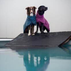 BathPomppa Midnight en Plum