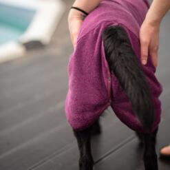 BathPomppa Plum achterkant