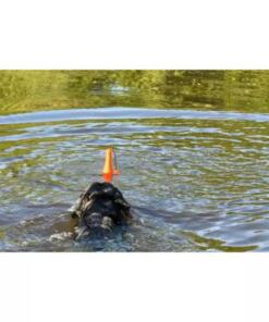 Bobber 11 Bobber Dog Comets