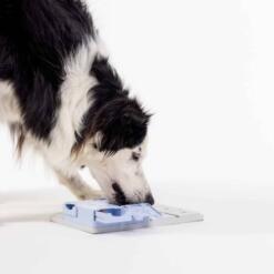 Bunny - Pawzler 11 Bunny - Pawzler