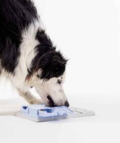 Bunny - Pawzler 11 Bunny - Pawzler