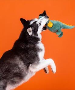 Fringe Candy Rex 9 Fringe Candy Rex