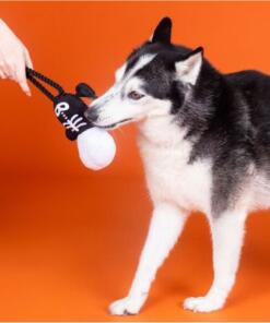 Fringe Got A Bone To Pick | Touw 8 Got A Bone To Pick