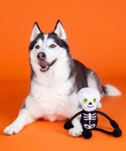 Fringe Got A Bone To Pick | Touw 9 Got A Bone To Pick