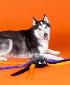 Fringe Trappin' Flies | XXL 8 Fringe Trappin' Flies | XXL