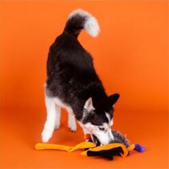 Fringe Trappin' Flies | XXL 9 Fringe Trappin' Flies | XXL