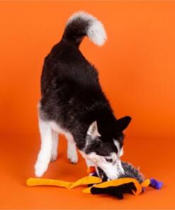 Fringe Trappin' Flies | XXL 9 Fringe Trappin' Flies | XXL