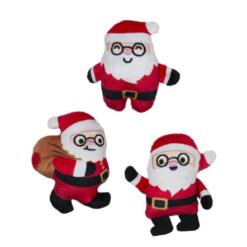 Rebel Wo A Claus
