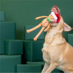 Seasons Eatings! 9 Seasons Eatings!