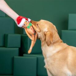 Seasons Eatings! 10 Seasons Eatings!