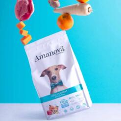 AM Adult Exigent Iberian Pork