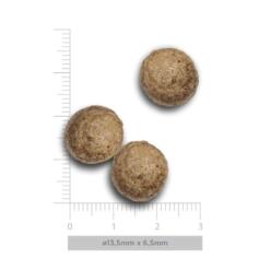 AM Adult Medium Exquisite Chicken