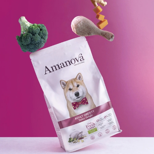 AM Adult Obesity Turkey Delight 4 AM Adult Obesity Turkey Delight