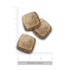 AM Adult Obesity Turkey Delight 9 AM Adult Obesity Turkey Delight