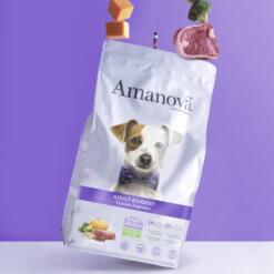 AM Dog Adult Exigent Venison