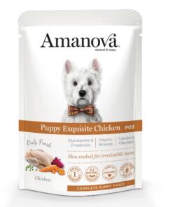 AM Puppy Exquisite Chicken - P08 - Amanova