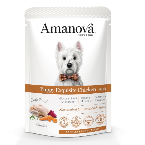 AM Puppy Exquisite Chicken - P08 2 AM Puppy Exquisite Chicken - P08 - Amanova