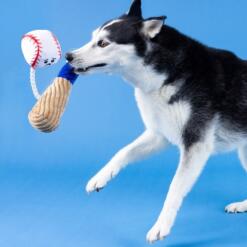 Batter Up Plush | Touw