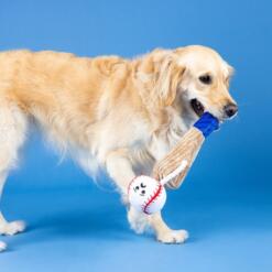 Batter Up Plush | Touw