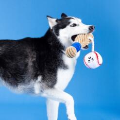 Batter Up Plush | Touw