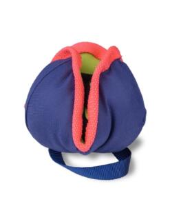 Wat is een maagkanteling of maagtorsie 6 Chase & Treat