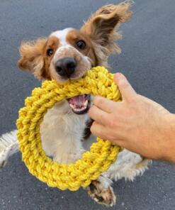 'Da-Chain' Gevlochten Ring