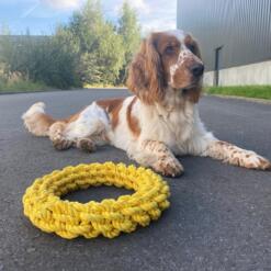 'Da-Chain' Gevlochten Ring