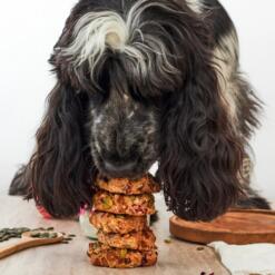 Pineut WoofBake Dognuts