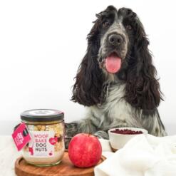 Pineut WoofBake Dognuts