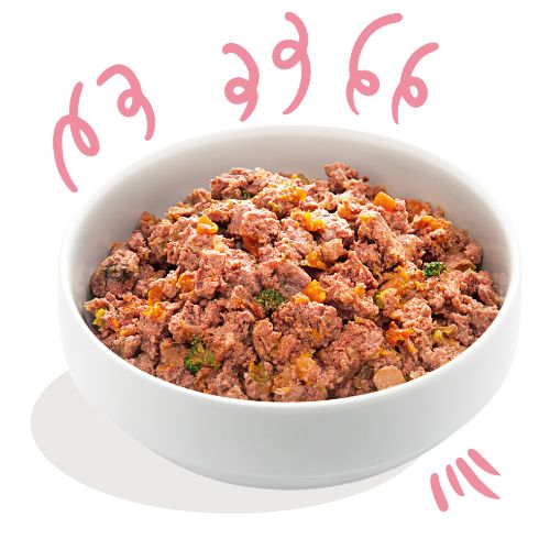 E&C Blikvoeding Puppy Duck & Chicken - Eend & Kip 3 E&C Blikvoeding Puppy