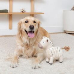 Earned My Stripes Earth Friendly