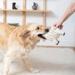 Earned My Stripes Earth Friendly