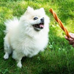 Garden Bites Fruity Dental Swirls