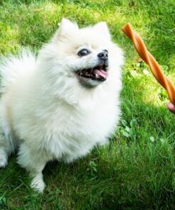 Garden Bites Fruity Dental Swirls