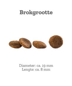 Goood Adult Insecten