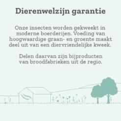 Goood Adult Insecten