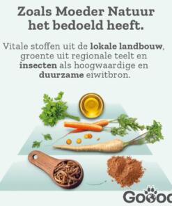 Goood Adult Insecten