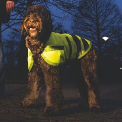 Hondenjas Teddie Reflecterend
