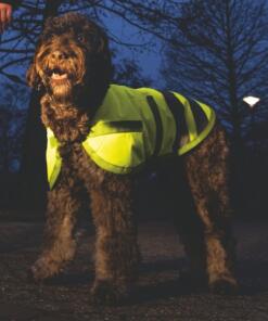 Hondenjas Teddie Reflecterend