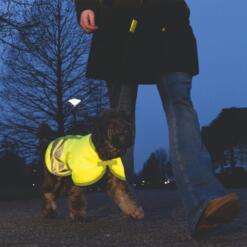 Hondenjas Teddie Reflecterend