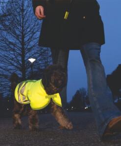 Hondenjas Teddie Reflecterend