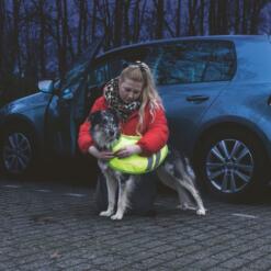 Hondenjas Teddie Reflecterend