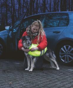 Hondenjas Teddie Reflecterend