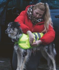 Hondenjas Teddie Reflecterend