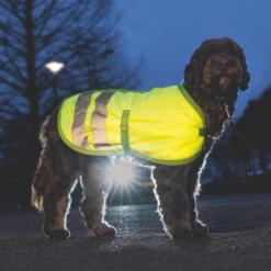 Hondenjas Teddie Reflecterend